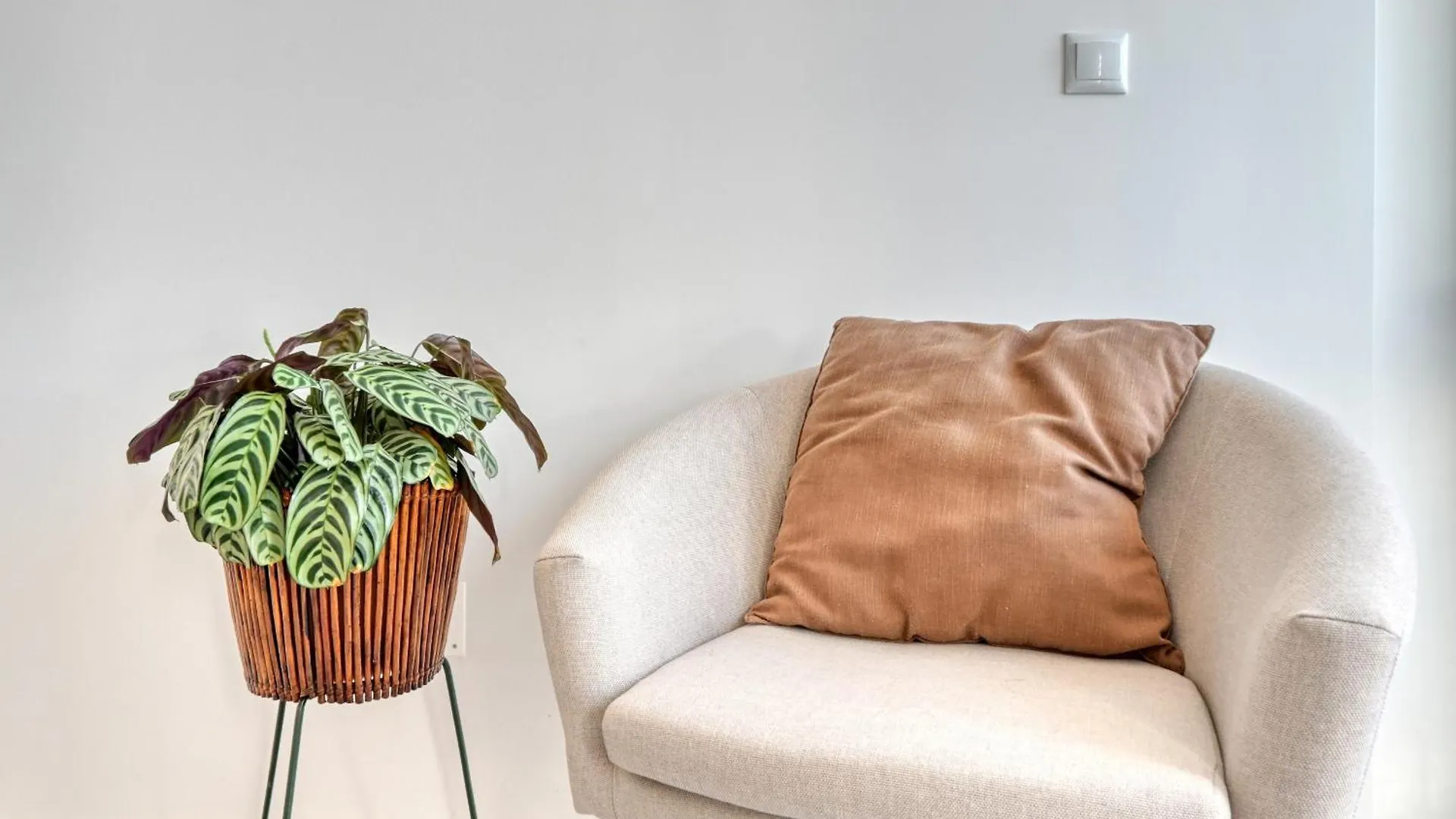 Maranta House, A Home In Madeira Funchal